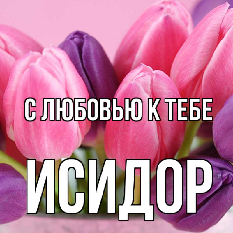 Картинка С любовью к тебе, Исидор