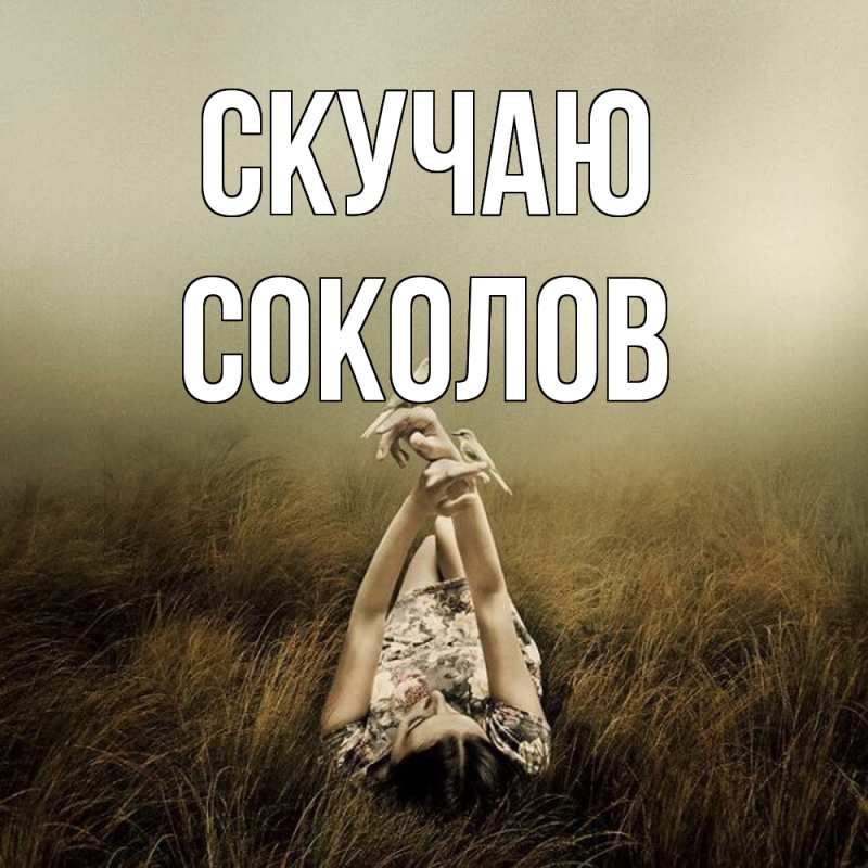 Картинка Скучаю, Соколов