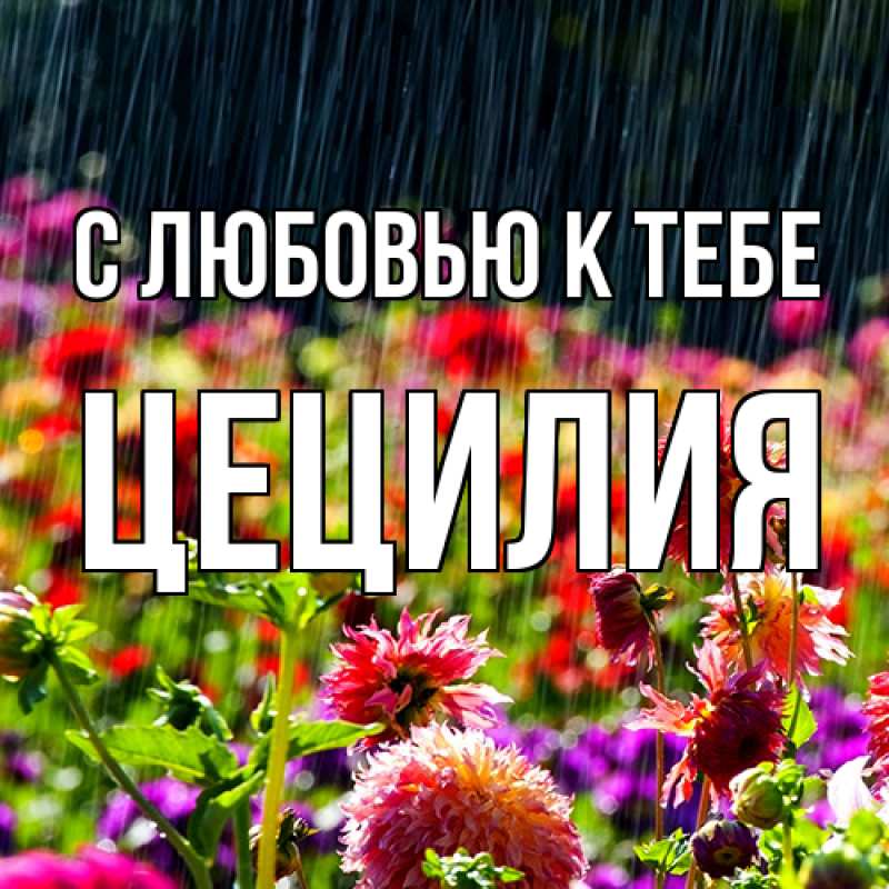 Картинка С любовью к тебе, Цецилия