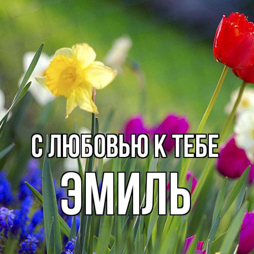Открытка  с именем. Эмиль, С любовью к тебе  