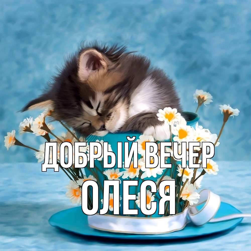 Открытка  с именем. олеся, Добрый вечер  