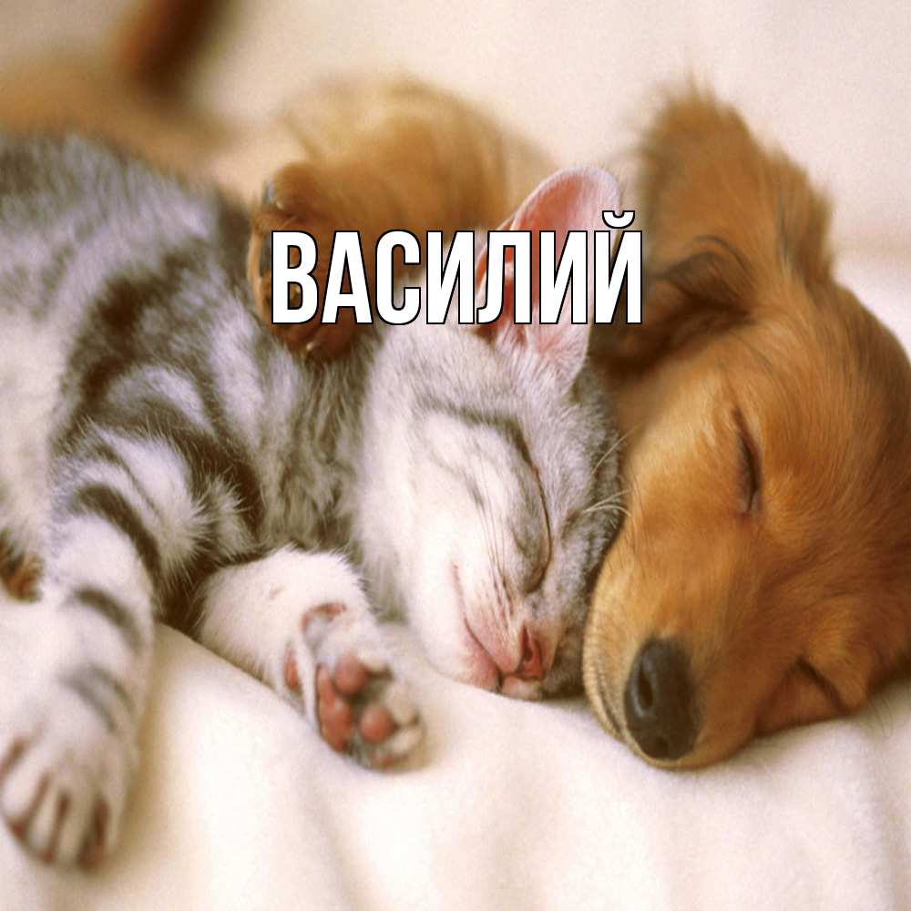 Открытка  с именем. Василий, Главная  