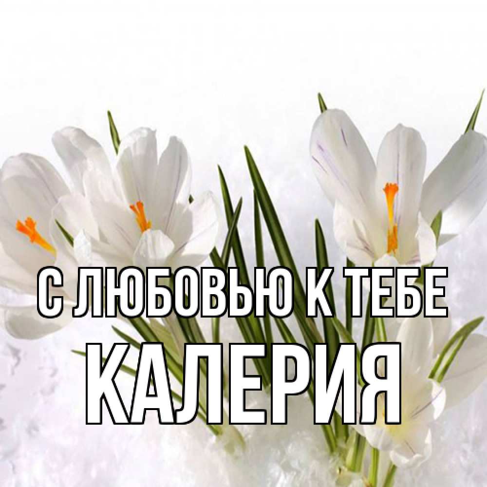 Открытка  с именем. Калерия, С любовью к тебе  