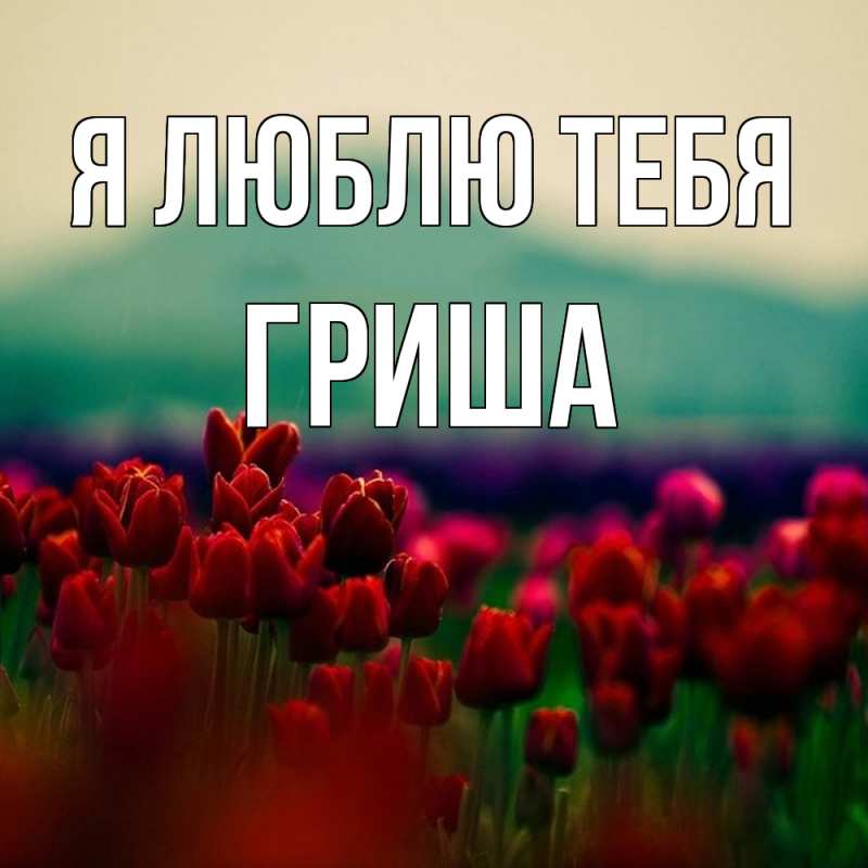 Картинка Я люблю тебя, Гриша