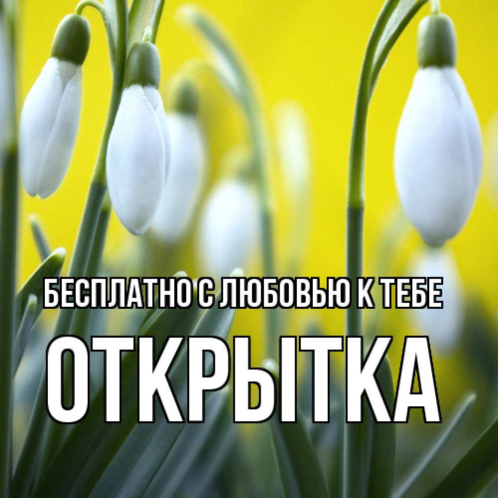 Открытка  с именем. открытка, С любовью к тебе  