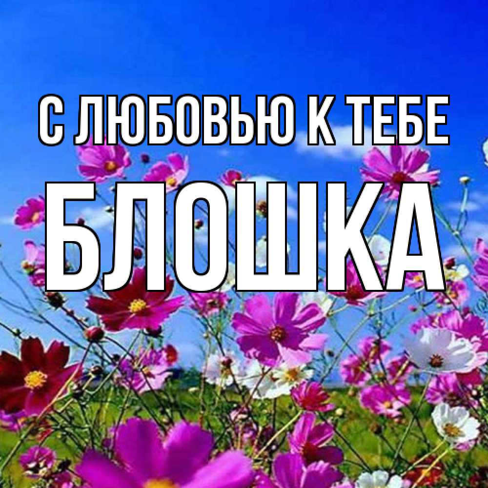 Открытка  с именем. Блошка, С любовью к тебе  