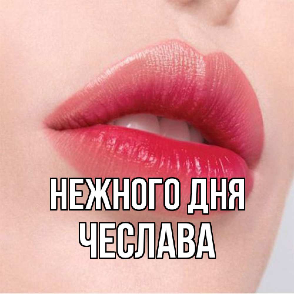 Открытка  с именем. Чеслава, Нежного дня  