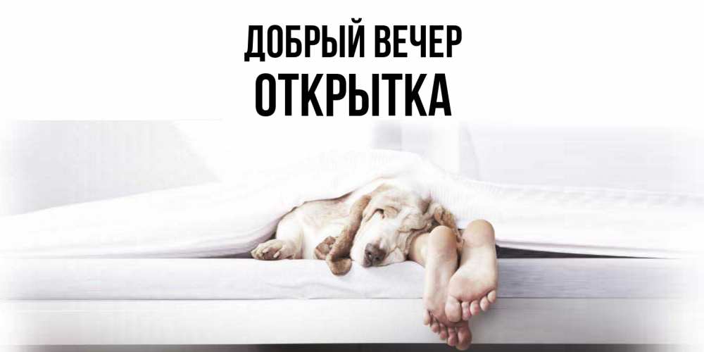 Открытка  с именем. открытка, Добрый вечер  