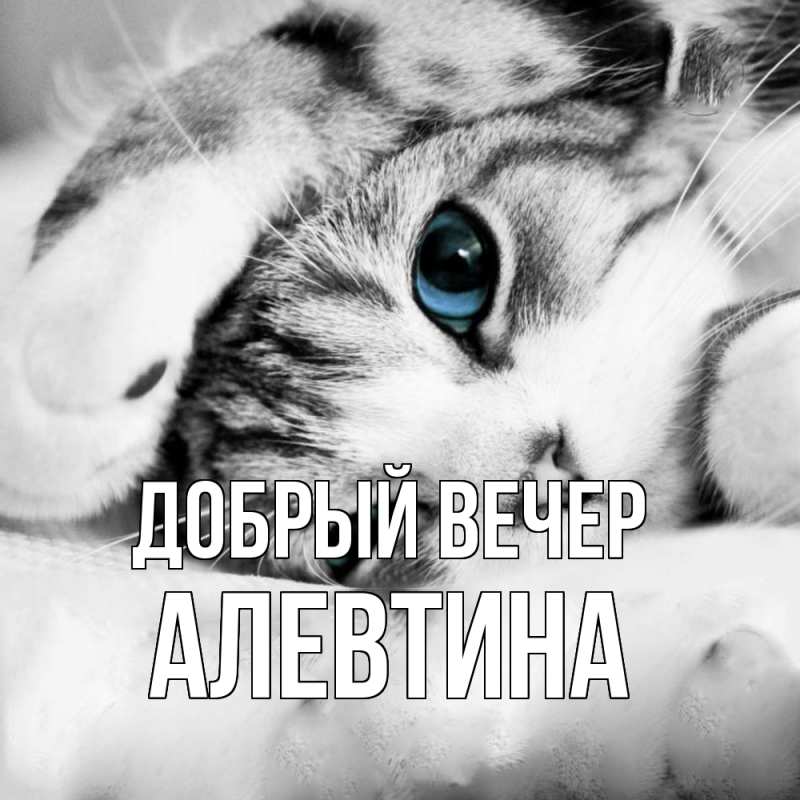 Картинка Добрый вечер, Алевтина
