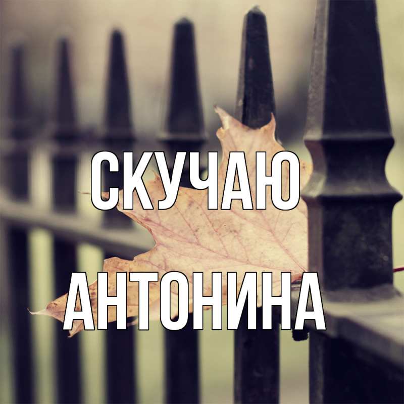Картинка Скучаю, Антонина