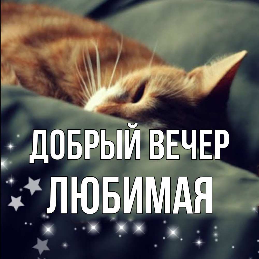 Открытка  с именем. Любимая, Добрый вечер  