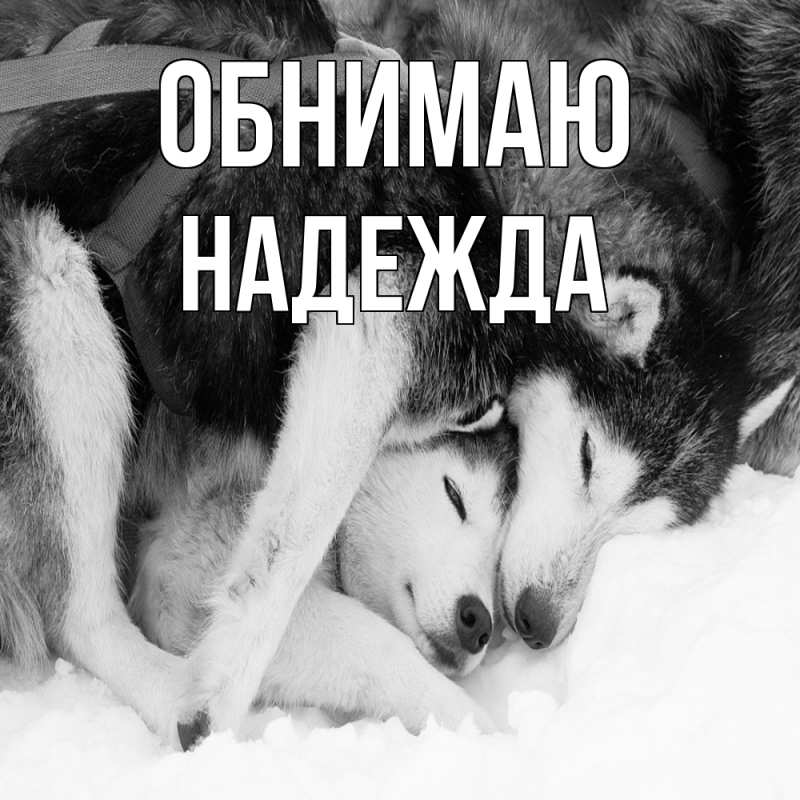 Картинка Обнимаю, Надежда