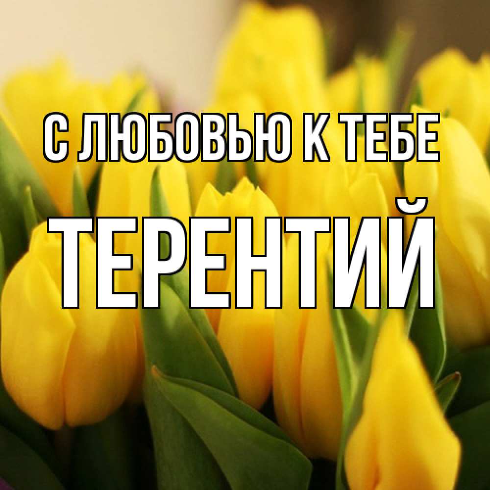 Открытка  с именем. Терентий, С любовью к тебе  