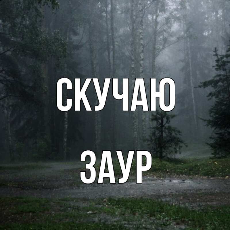 Картинка Скучаю, Заур