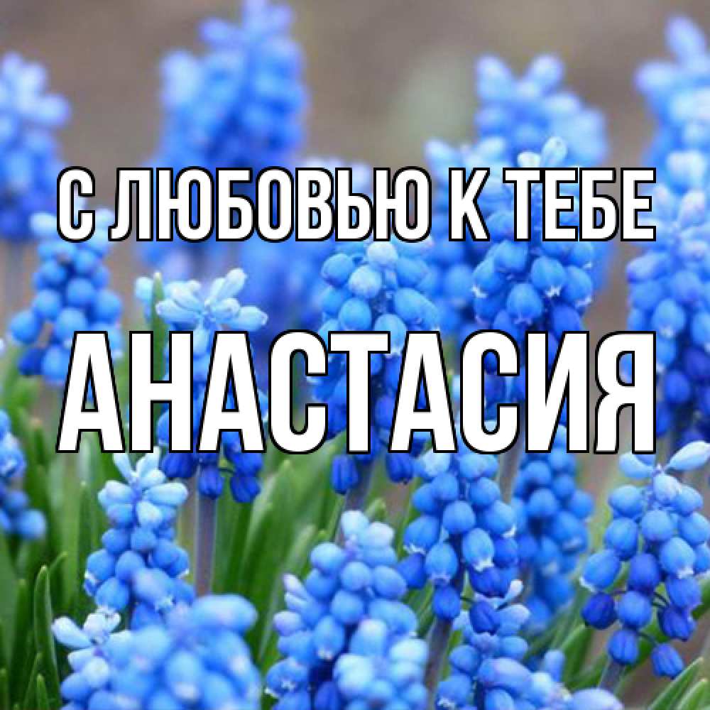 Открытка  с именем. Анастасия, С любовью к тебе  