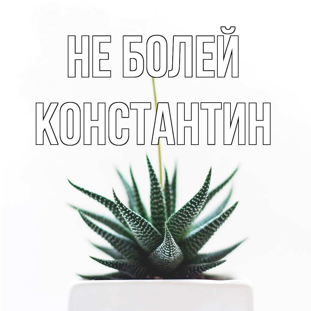 Открытка  с именем. Константин, Не болей  
