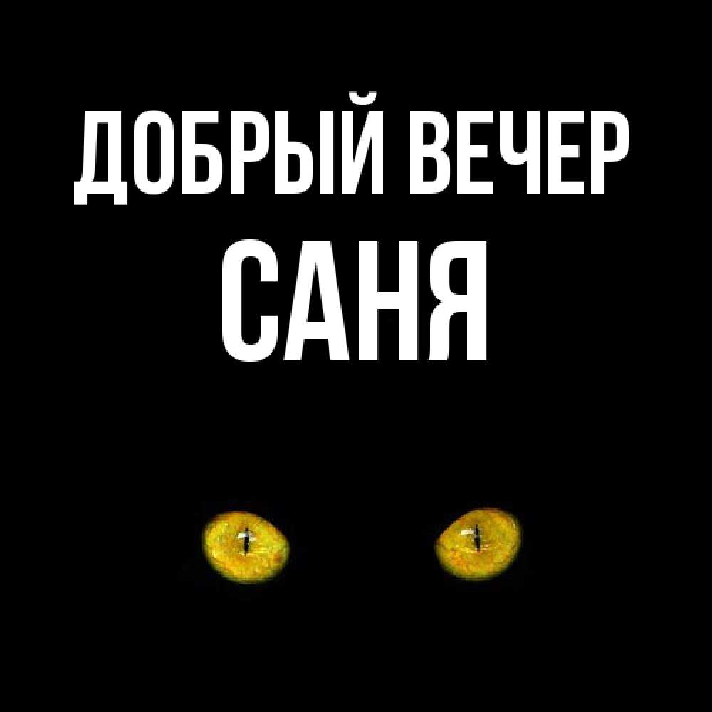 Открытка  с именем. Саня, Добрый вечер  