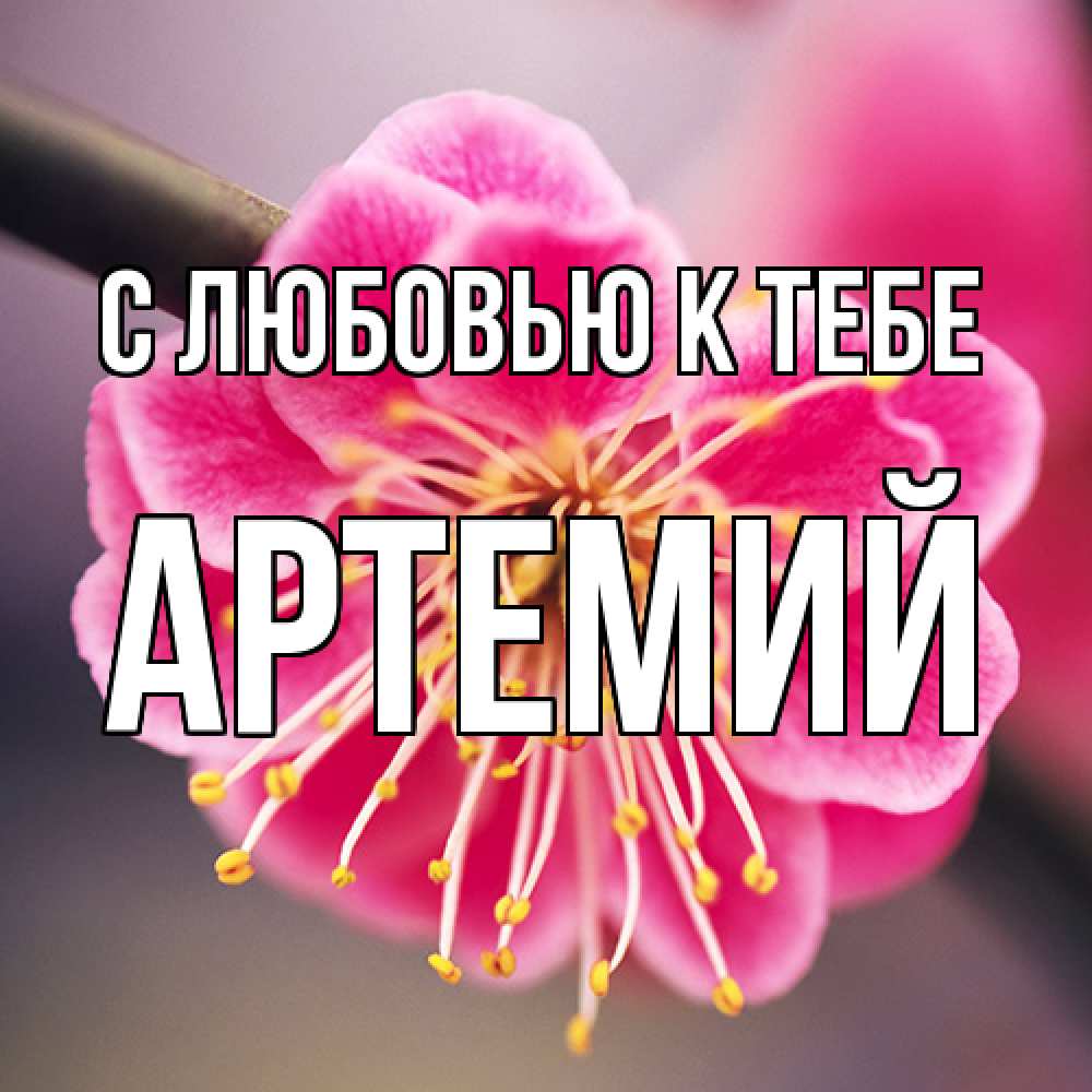 Открытка  с именем. Артемий, С любовью к тебе  
