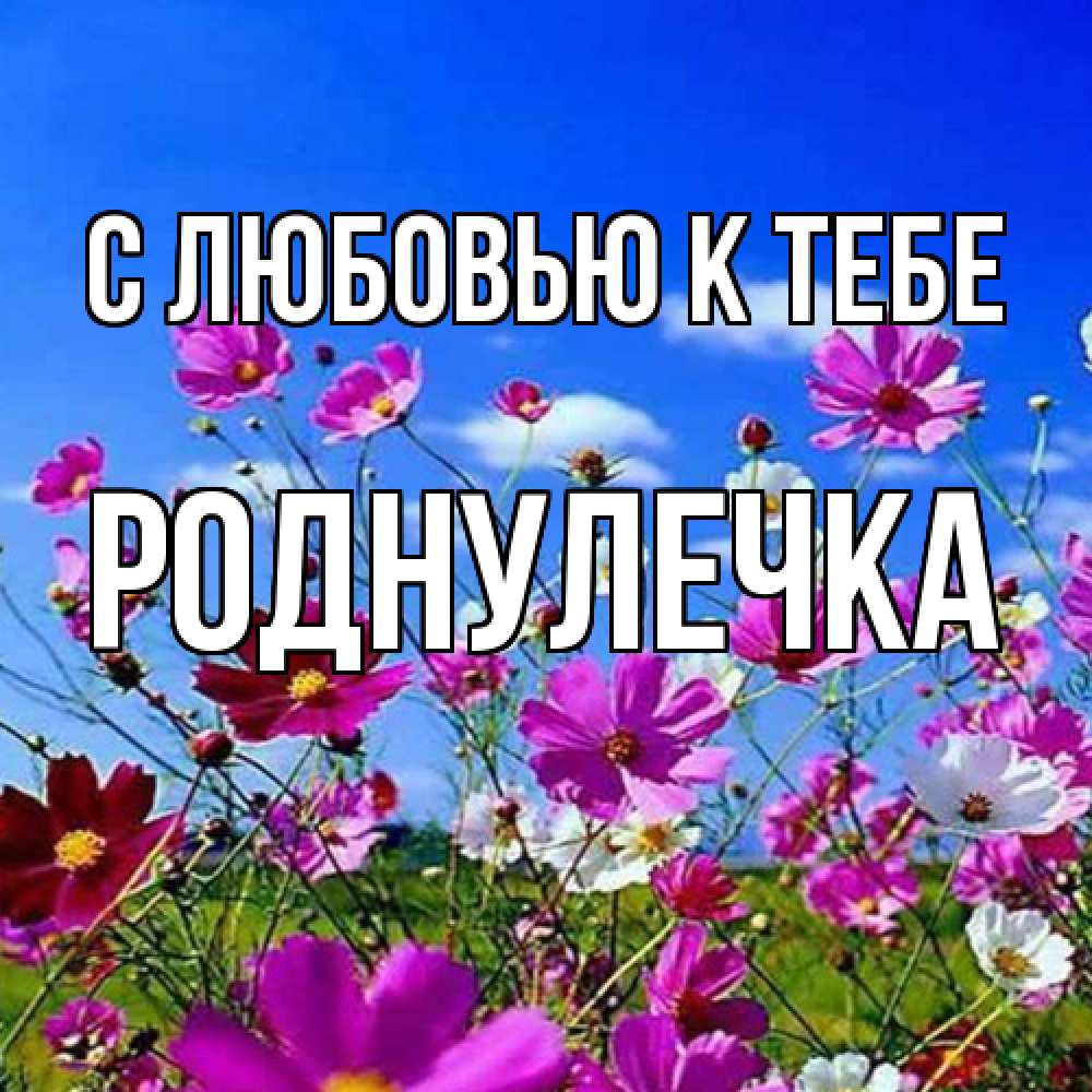 Открытка  с именем. Роднулечка, С любовью к тебе  