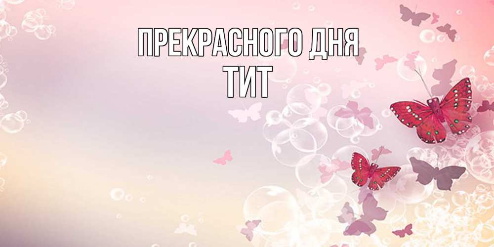 Открытка  с именем. Тит, Прекрасного дня  