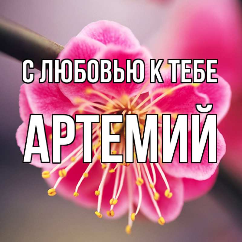 Картинка С любовью к тебе, Артемий
