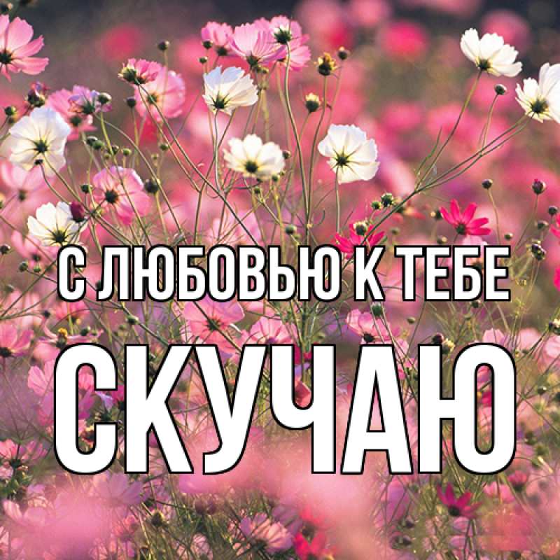 Картинка С любовью к тебе, Скучаю