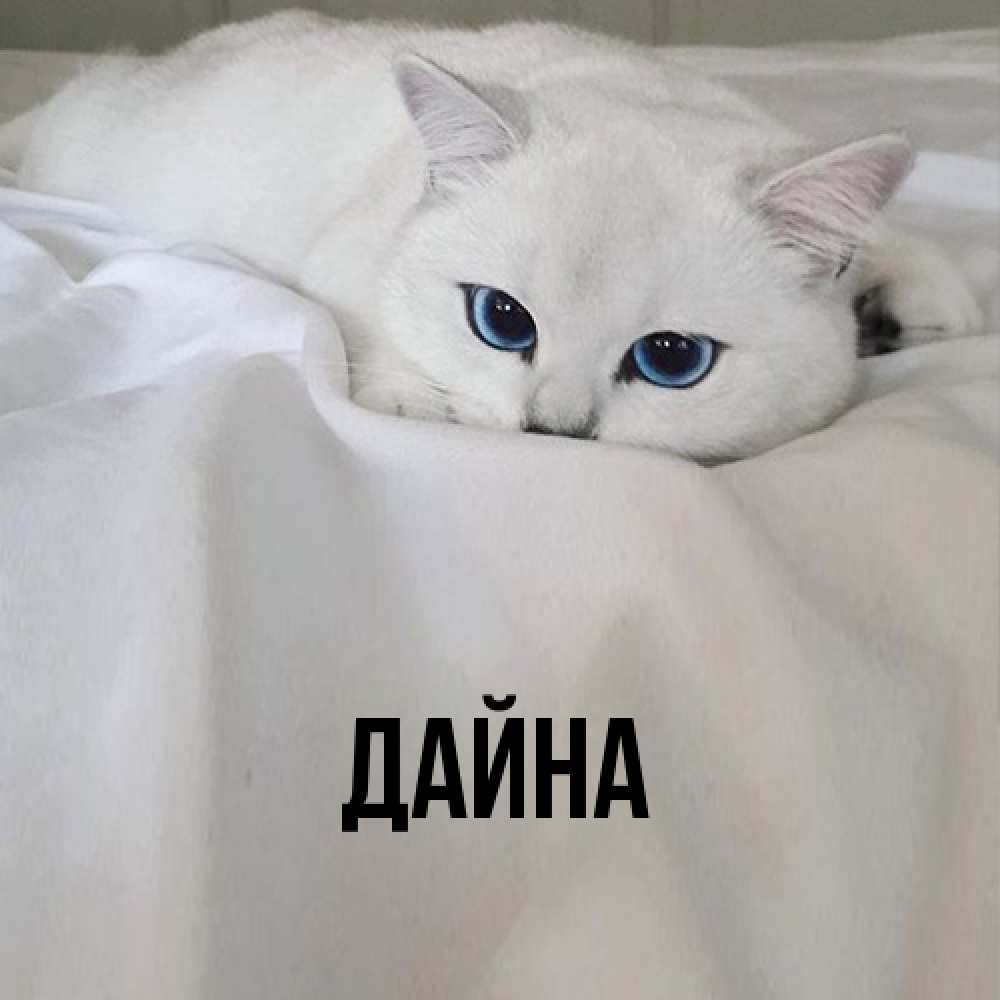 Открытка  с именем. Дайна, Главная  