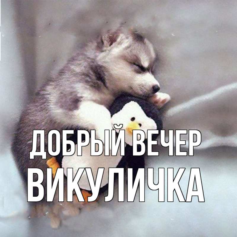 Картинка Добрый вечер, Викуличка