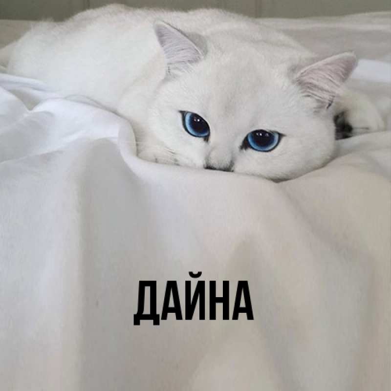Картинка  с именем , Дайна