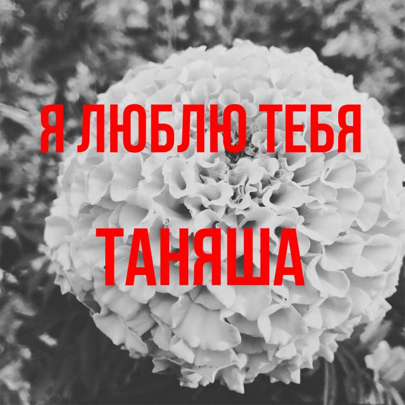 Картинка Я люблю тебя, таняша