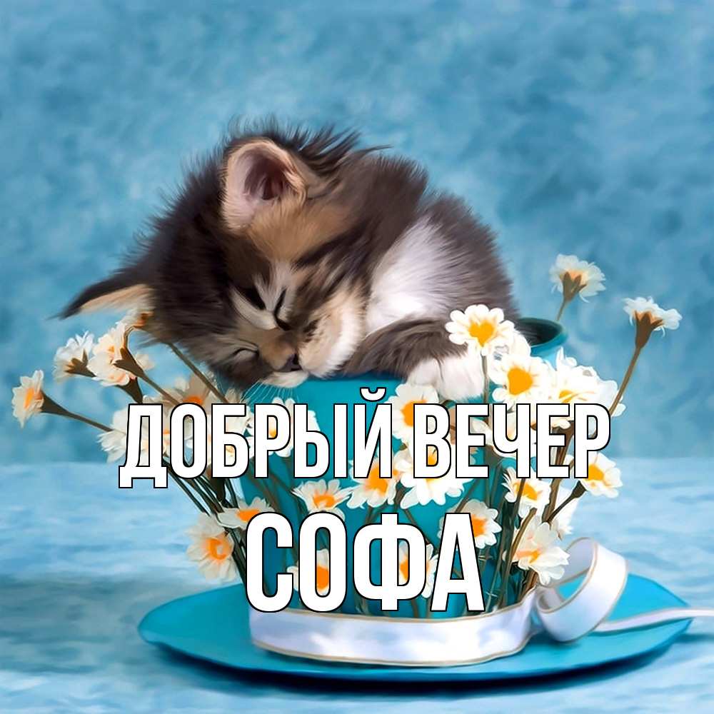 Открытка  с именем. Софа, Добрый вечер  