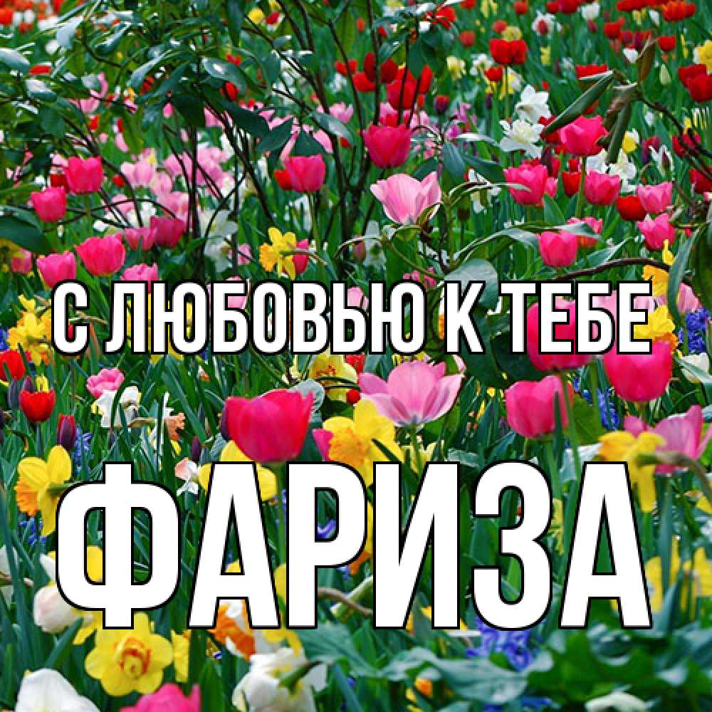 Открытка  с именем. Фариза, С любовью к тебе  