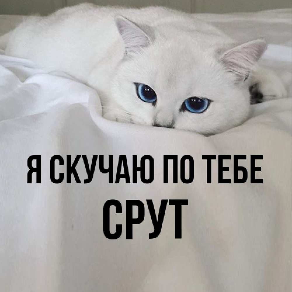 Открытка  с именем. срут, Я скучаю по тебе  