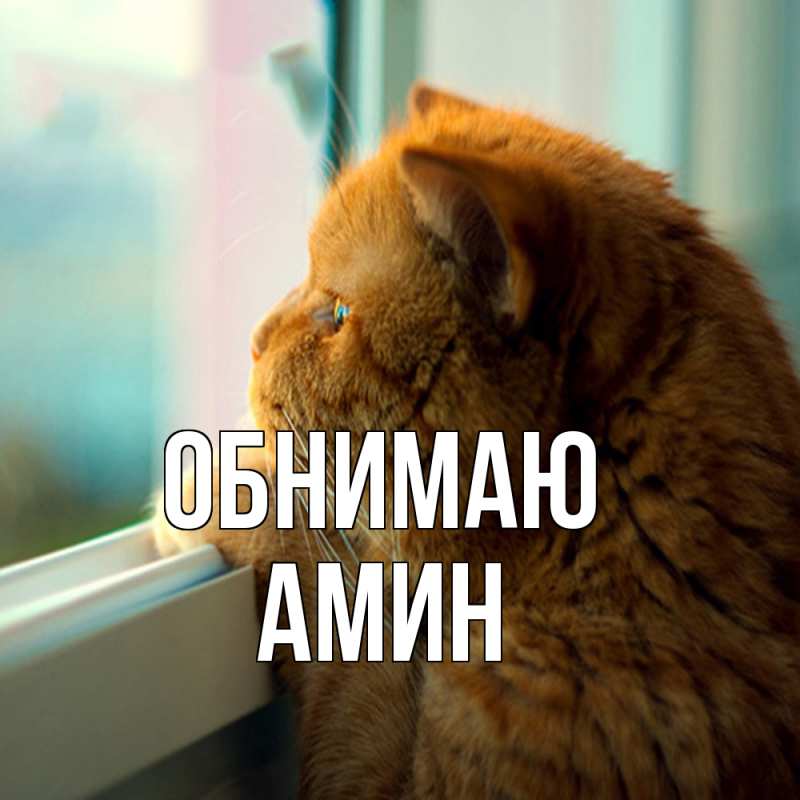 Картинка Обнимаю, Амин