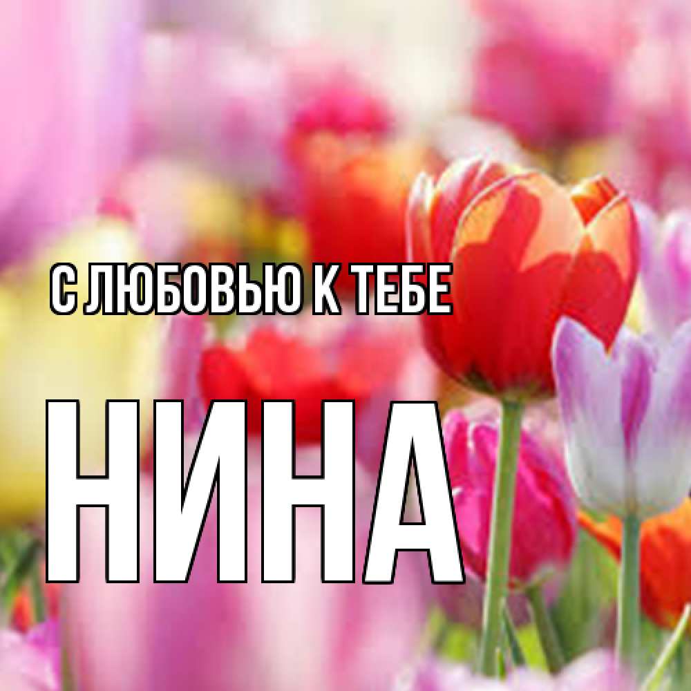 Открытка  с именем. Нина, С любовью к тебе  