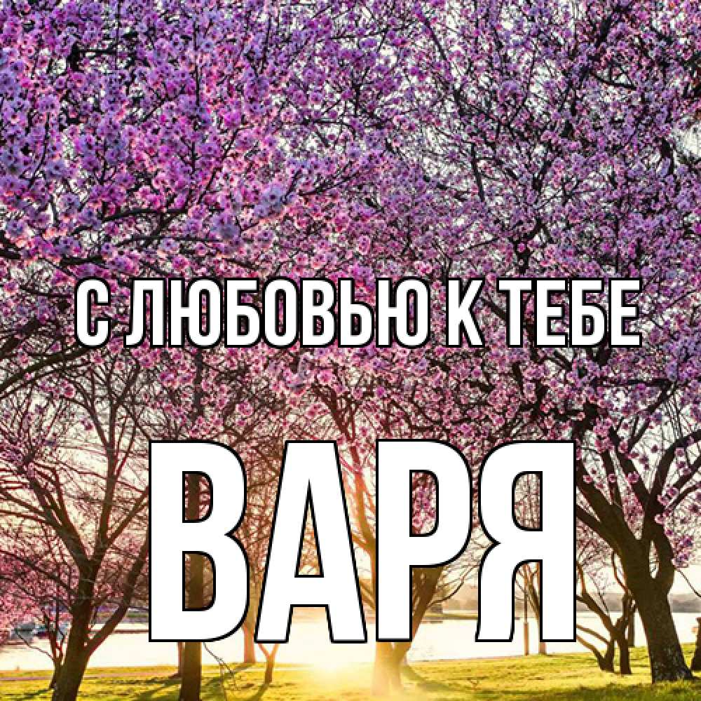 Открытка  с именем. варя, С любовью к тебе  