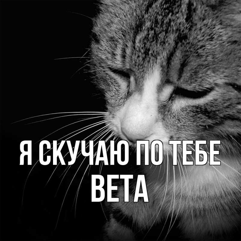 Картинка Я скучаю по тебе, вета