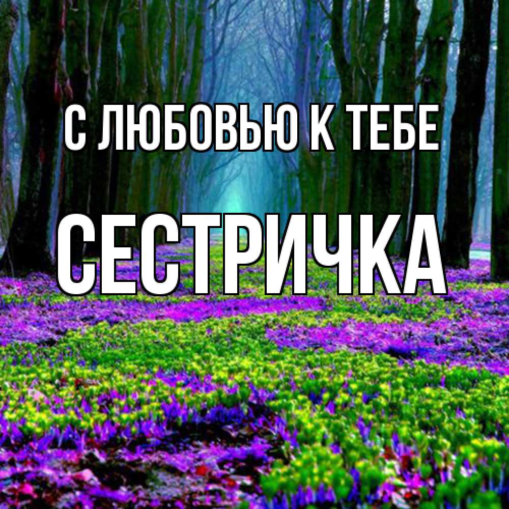 Открытка  с именем. Сестричка, С любовью к тебе  