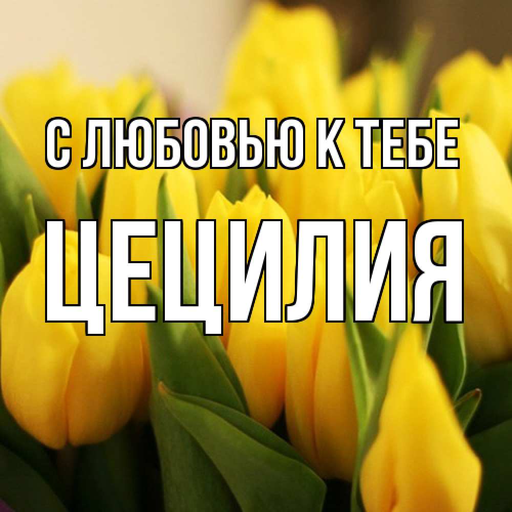 Открытка  с именем. Цецилия, С любовью к тебе  