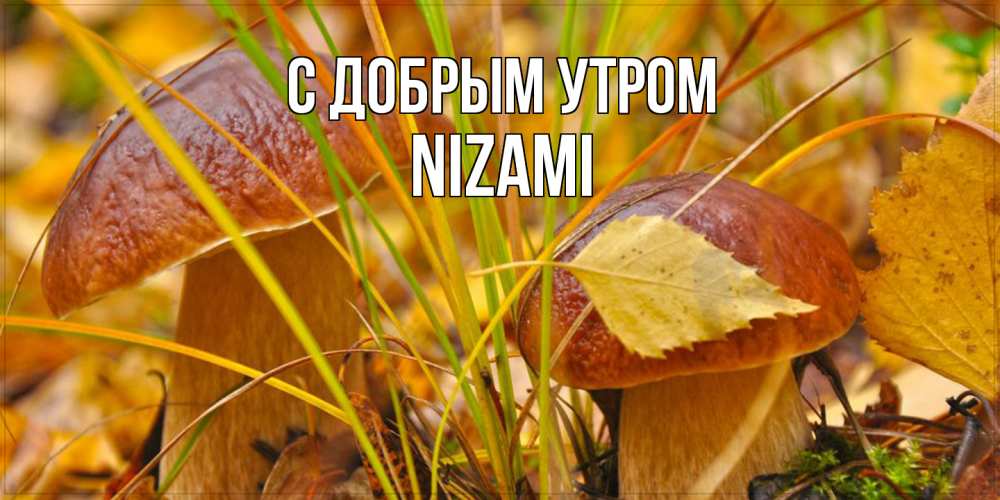 Открытка  с именем. Nizami, С добрым утром  