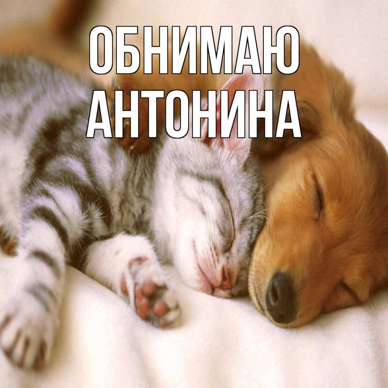 Картинка Обнимаю, Антонина