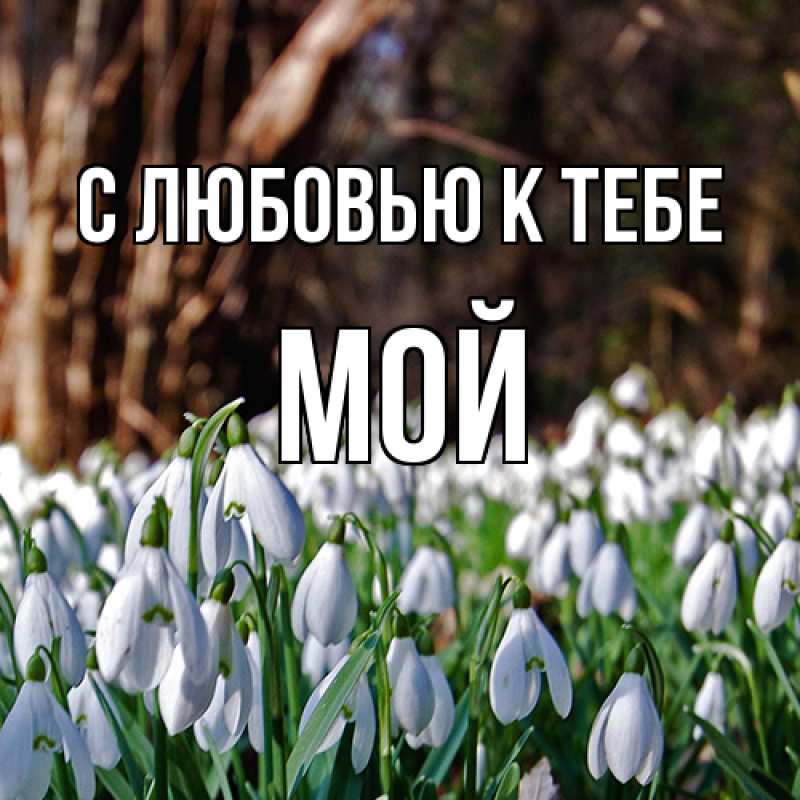 Картинка С любовью к тебе, Мой
