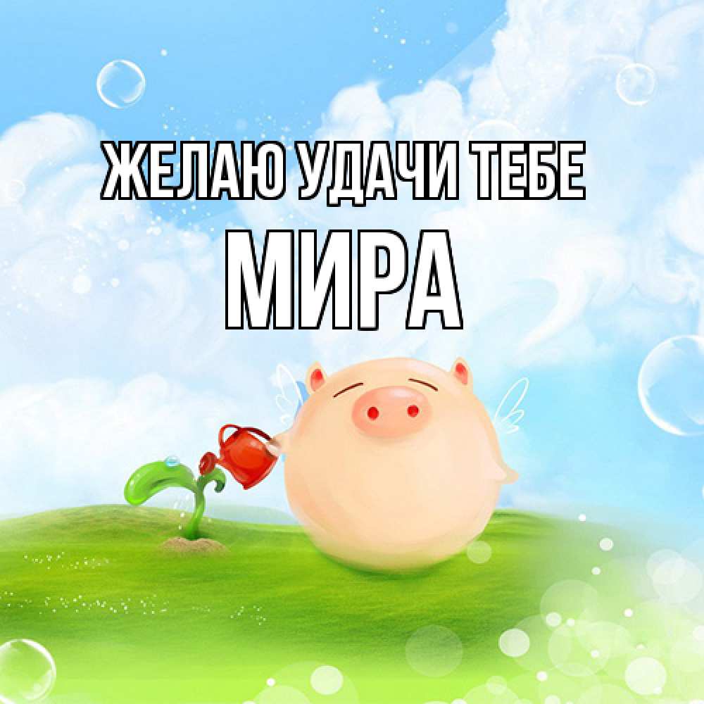 Открытка  с именем. Мира, Желаю удачи тебе  