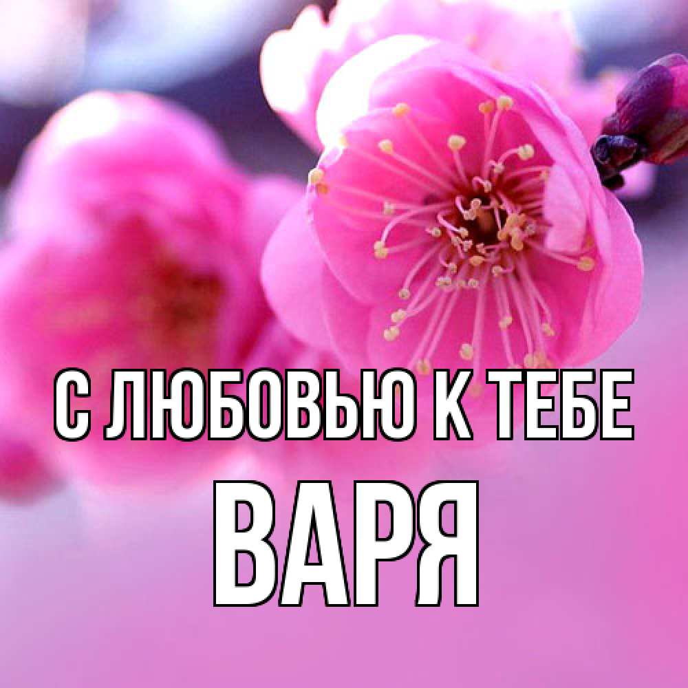 Открытка  с именем. варя, С любовью к тебе  