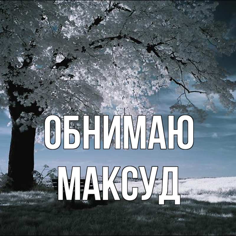 Картинка Обнимаю, Максуд