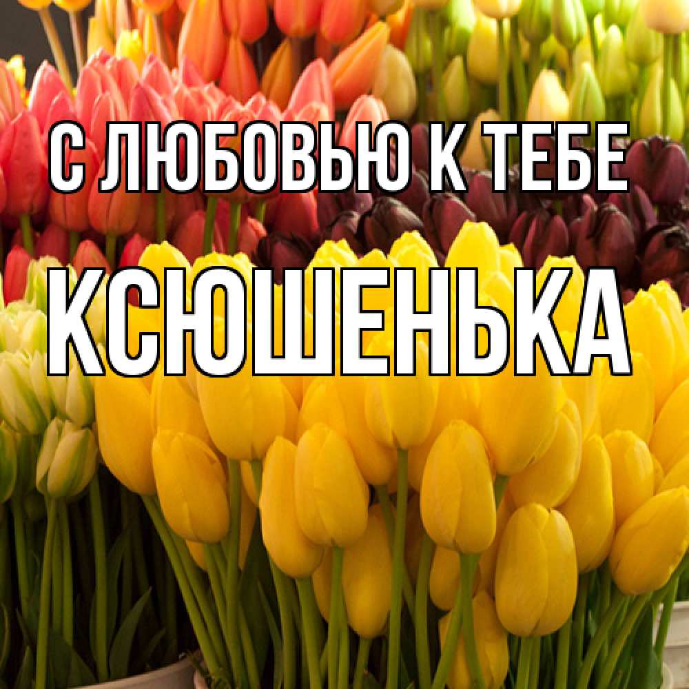 Открытка  с именем. Ксюшенька, С любовью к тебе  