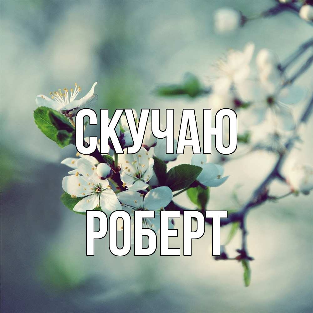 Открытка  с именем. Роберт, Скучаю  