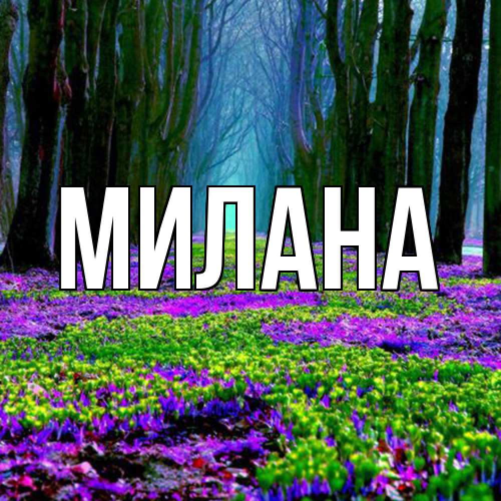Открытка  с именем. Милана, Главная  