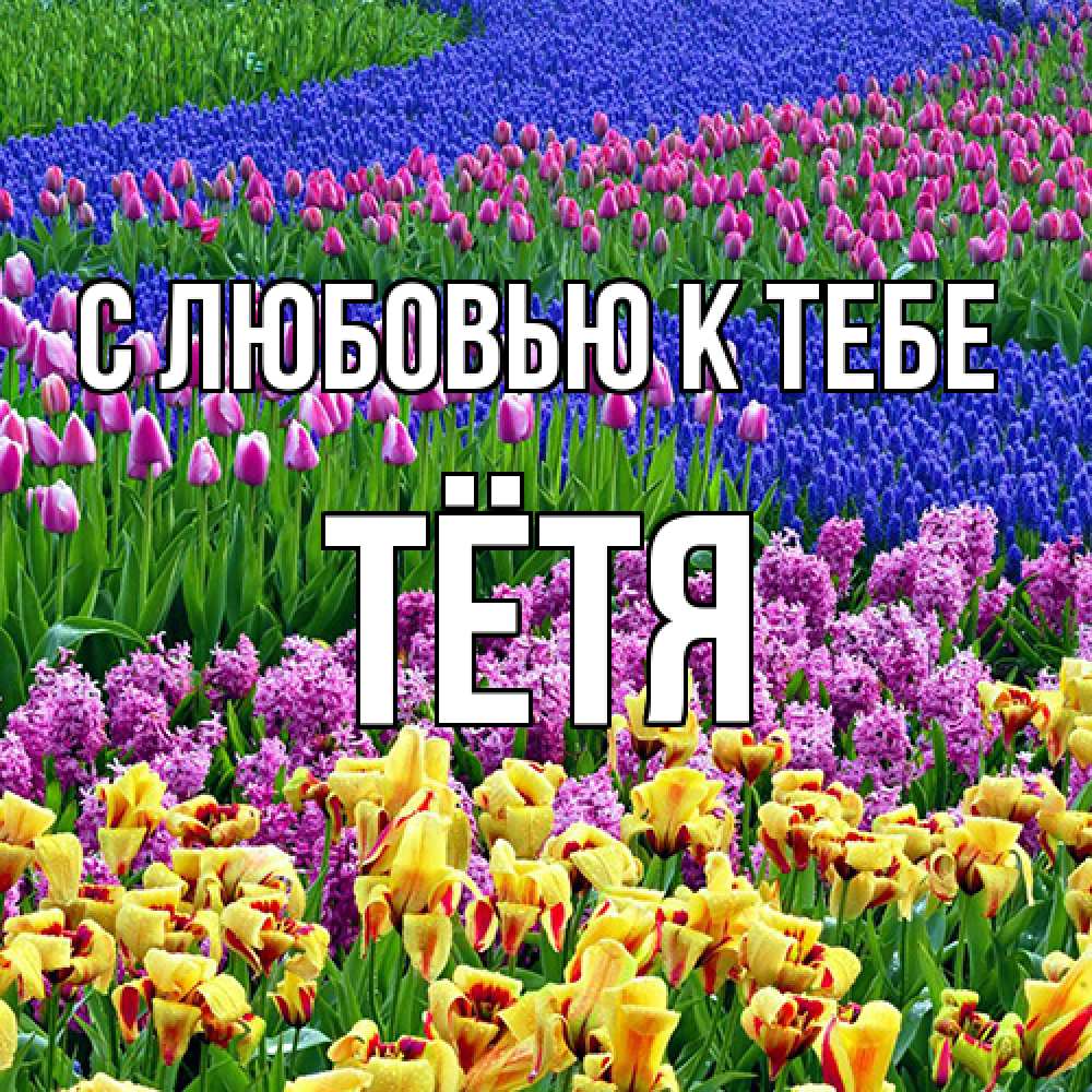 Открытка  с именем. Тётя, С любовью к тебе  