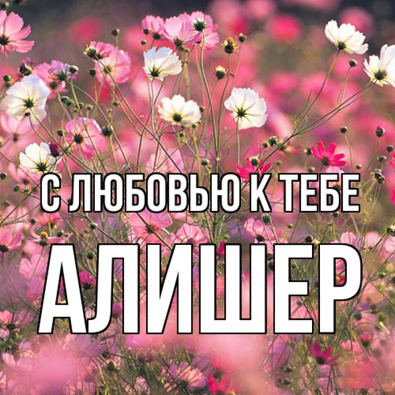 Картинка С любовью к тебе, Алишер